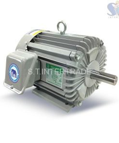 มอเตอร์ไฟฟ้า THAISIN TSM-1T