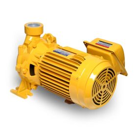 WCM-2205-S STINTERTRADE