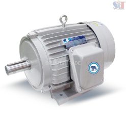 THAISIN TSM-5 มอเตอร์ไฟฟ้า
