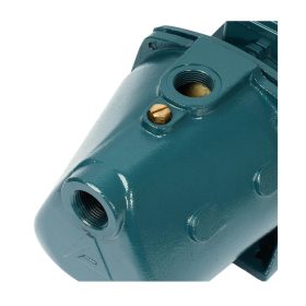 ปั้มดูดเอง 1 HP MJM102(X) STINTERTRADE