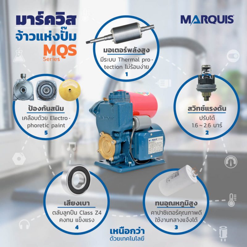 ปั๊มน้ำอัตโนมัติใบพัดเหล็กหล่อ MQS137T AUTO STINTERTRADE