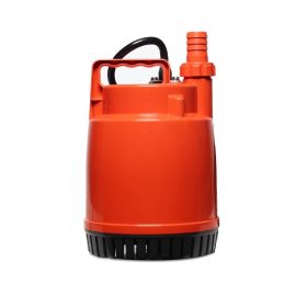 FAMILY-12SEA STINTERTRADE