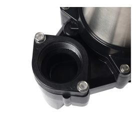 50PN2.75S STINTERTRADE