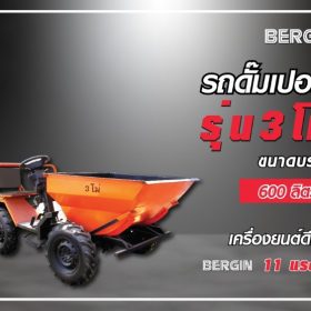 BERGIN รถดั๊มเปอร์ 3 โม่ 600 ลิตร STINTERTRADE