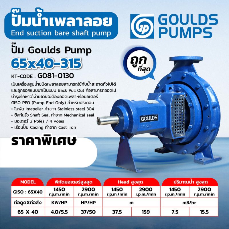 ปั๊ม GOULDSPUMP 65X40-315 STINTERTRADE