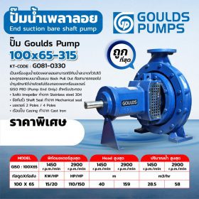 ปั๊ม GOULDSPUMP 100X65-315 STINTERTRADE