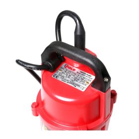 ปั๊มจุ่มสำหรับน้ำสะอาด รุ่น QDX1.5-17-0.37 STINTERTRADE