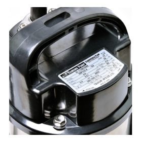 50PU2.4 STINTERTRADE