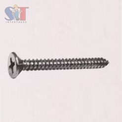 FASTENIC สกรูเกลียวเหล็กหัวนูน FH Tapping screw 3/4" No.10 4.8mm