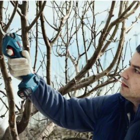Pro Pruner STINTERTRADE