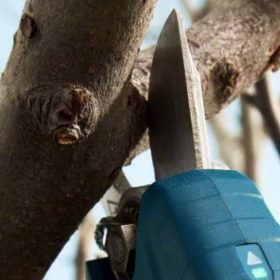 Pro Pruner STINTERTRADE