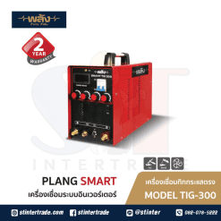พลัง SMART TIG 300 เครื่องเชื่อมอินเวอร์เตอร์ 220V