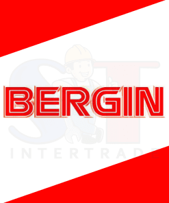 BERGIN