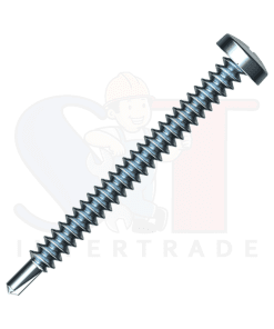 FASTENIC สกรูเกลียวปล่อยหัวนูน ปลายสว่าน รุ่น SDP-10100 (250ตัว/กล่อง)