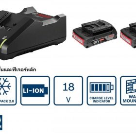 GSB 185-LI + GDX 18V-200 STINTERTRADE
